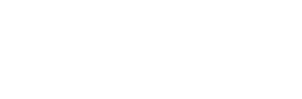 Rhino Builders Logo White Small