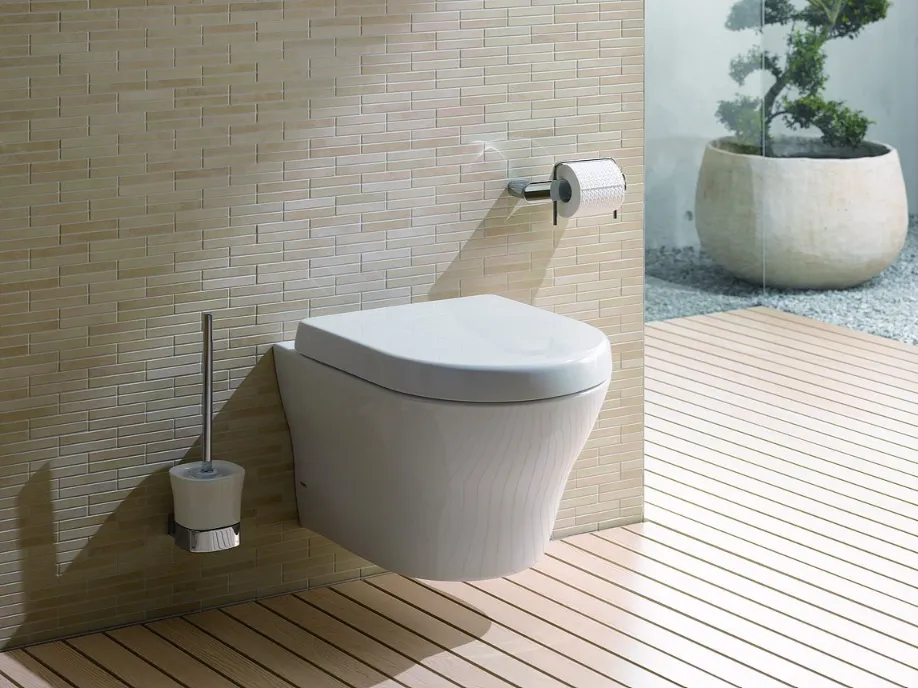 Wall Hung Toilet